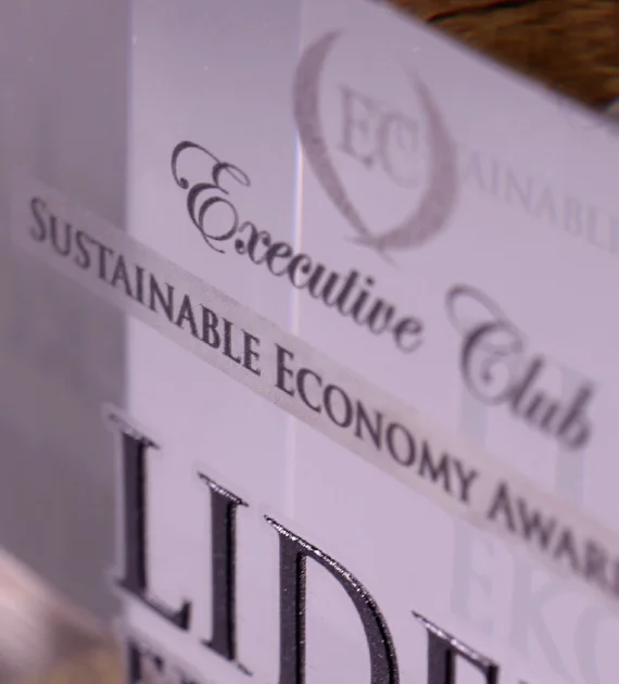 Statuetka Substainable Economy Awards 2021 została wykonana z kryształowej kostki, na której umieszczono kolorowy nadruk z efektem 3D - detal logo