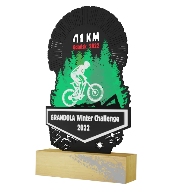 Statuetka Grandola Winter Challenge ma nieszablonowy kształt i została wykonana z połączenia metalu oraz drewna - bok