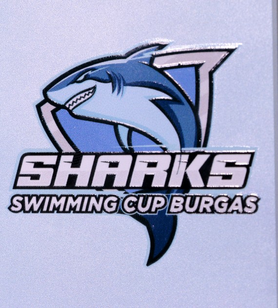 Statuetka Sharks Swimming Cup Burgas to pływacka statuetka o prostokątnym kształcie i filigranowej formie - detal